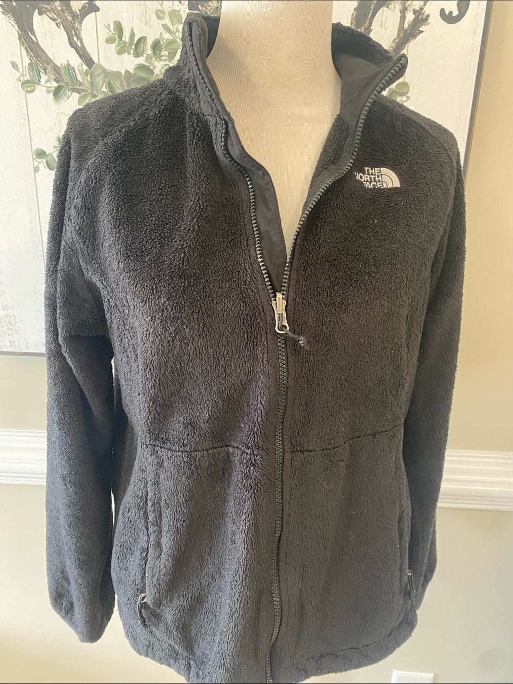The North Face Black Plush Full-Zip Teddy Jacket